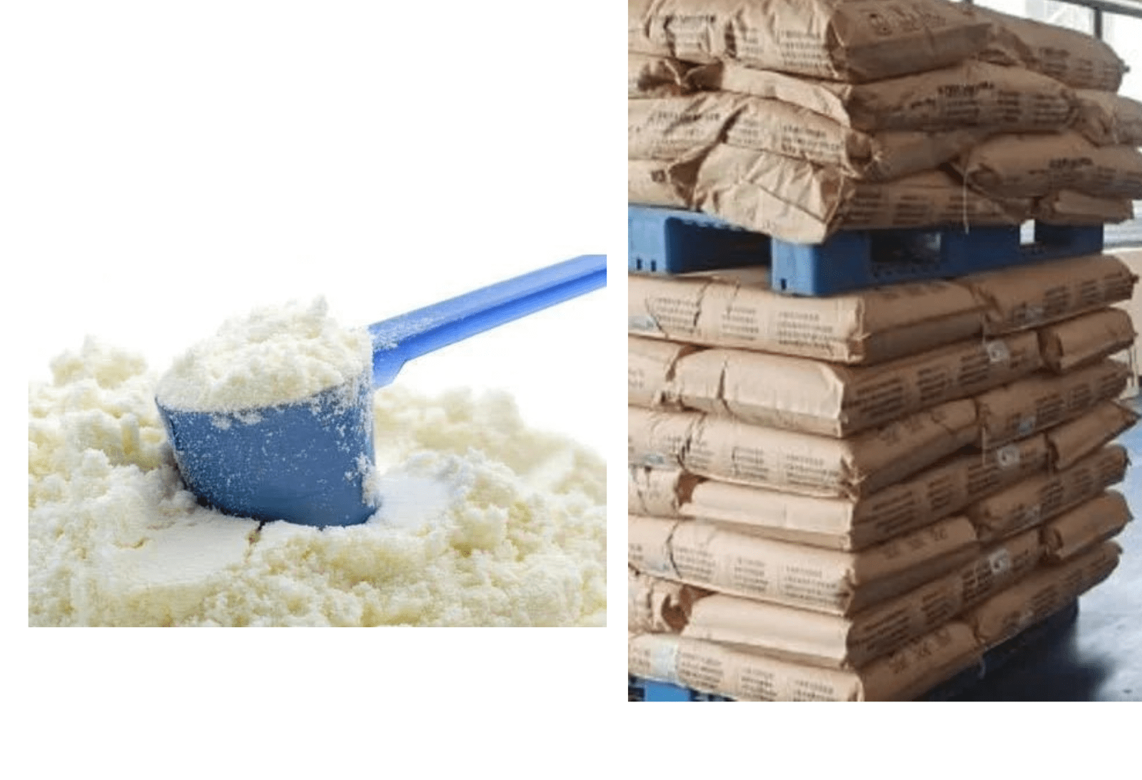 Milk Powder